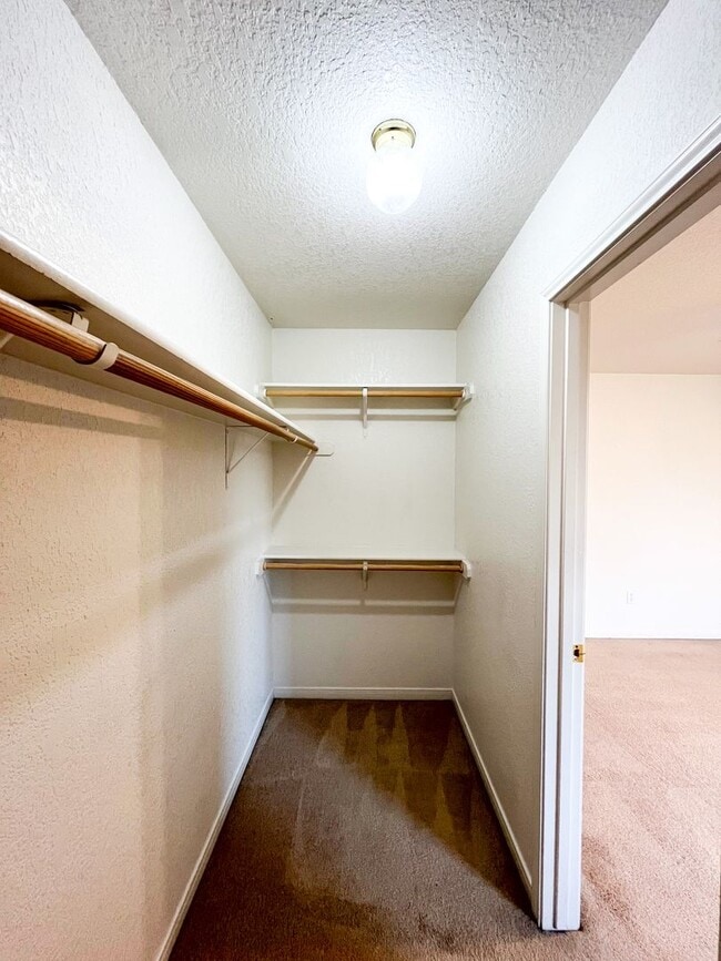 Building Photo - 312 Cedar Ridge Dr