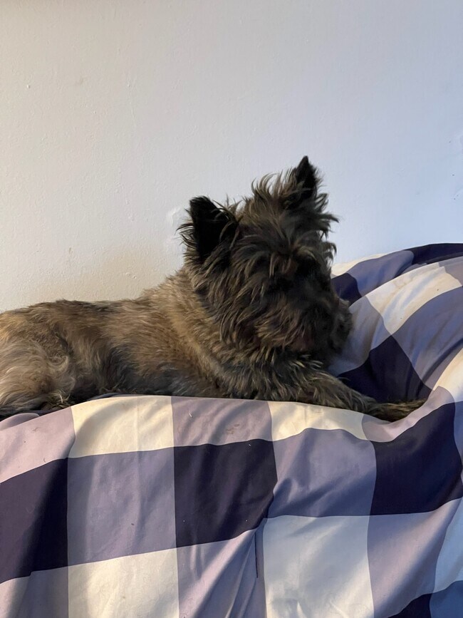 Building Photo - 15004 La Vale Rd