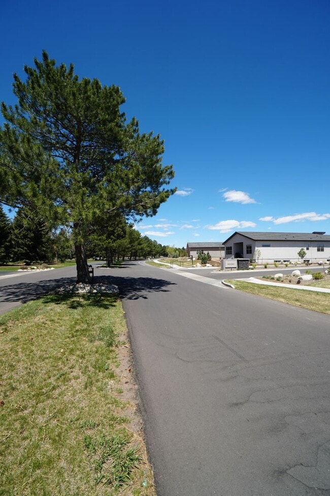 Building Photo - 3052 Virga Lp