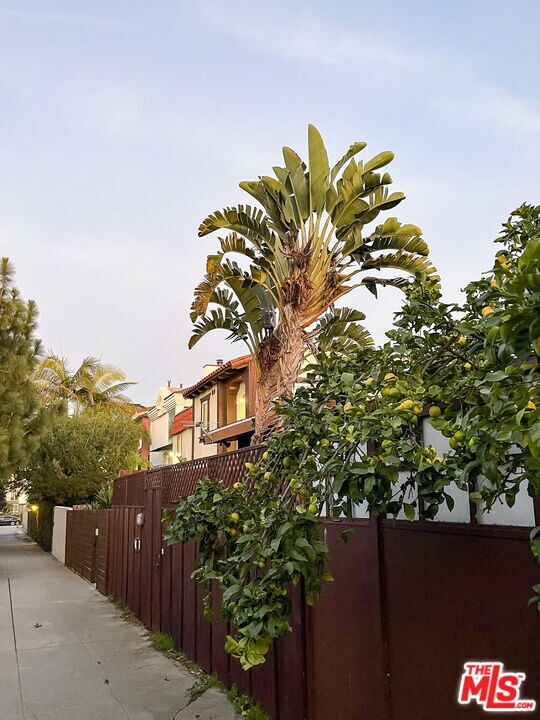 Building Photo - 122 Buccaneer St