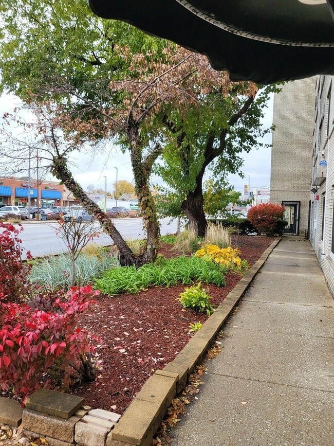 Building Photo - 1227 S Harlem Ave