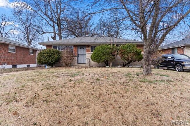 Building Photo - 1223 Reale Ave