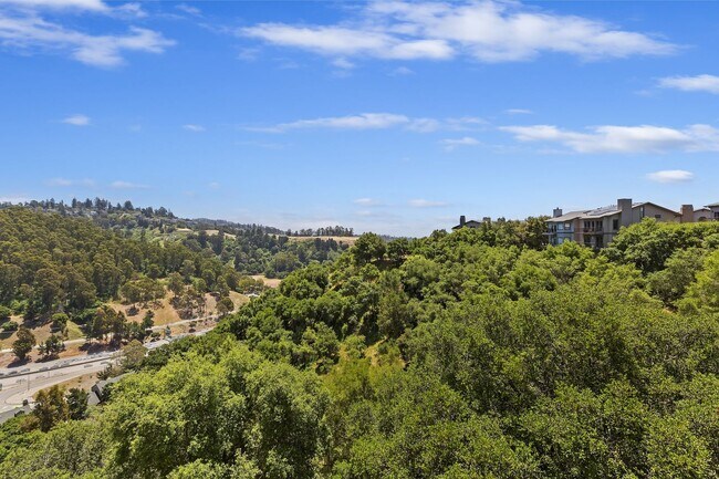 Building Photo - Spacious 4-Story Townhouse with Panoramic ...