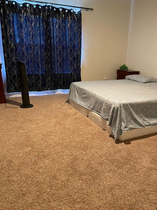 Building Photo - 10359 Paper Birch Dr