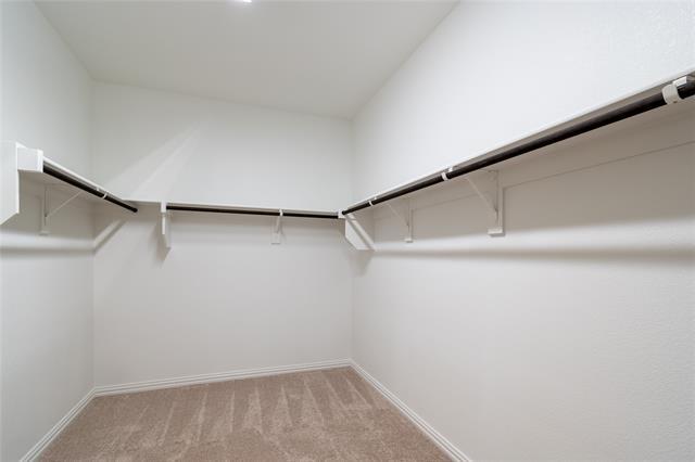 Building Photo - 3804 Chicory Ct