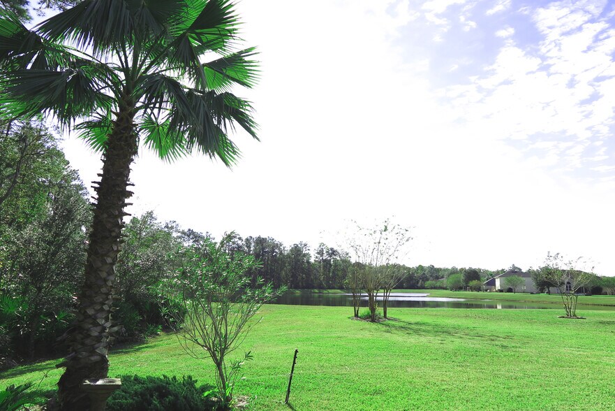 Back yard - 437 Lake Monroe Pl