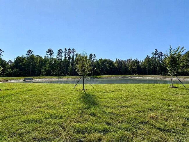 Building Photo - 1307 Broward Dr