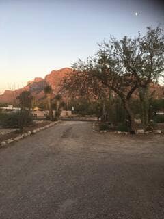 Building Photo - 9141 N Overlook Dr