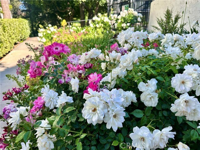 Building Photo - 4648 Park Granada