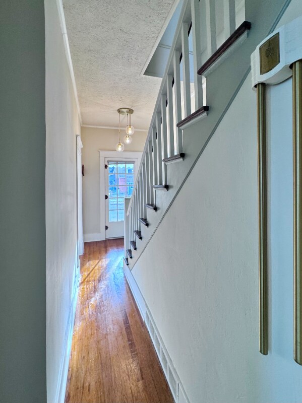 Building Photo - 7 E Curtiss St