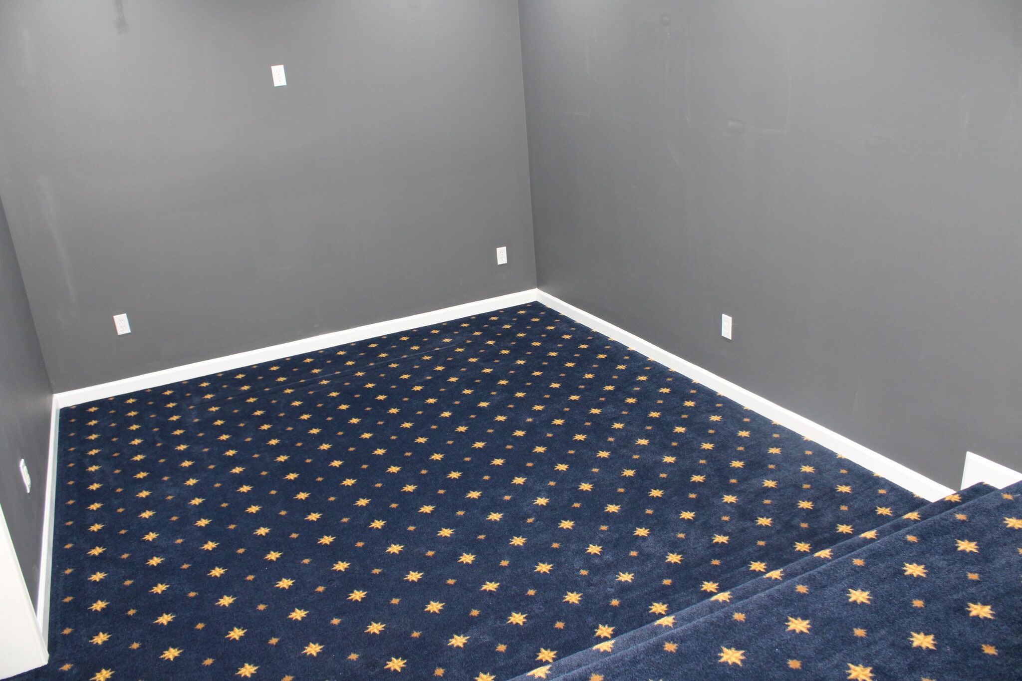 Basement Media room 2 - 2940 Furlong Ct