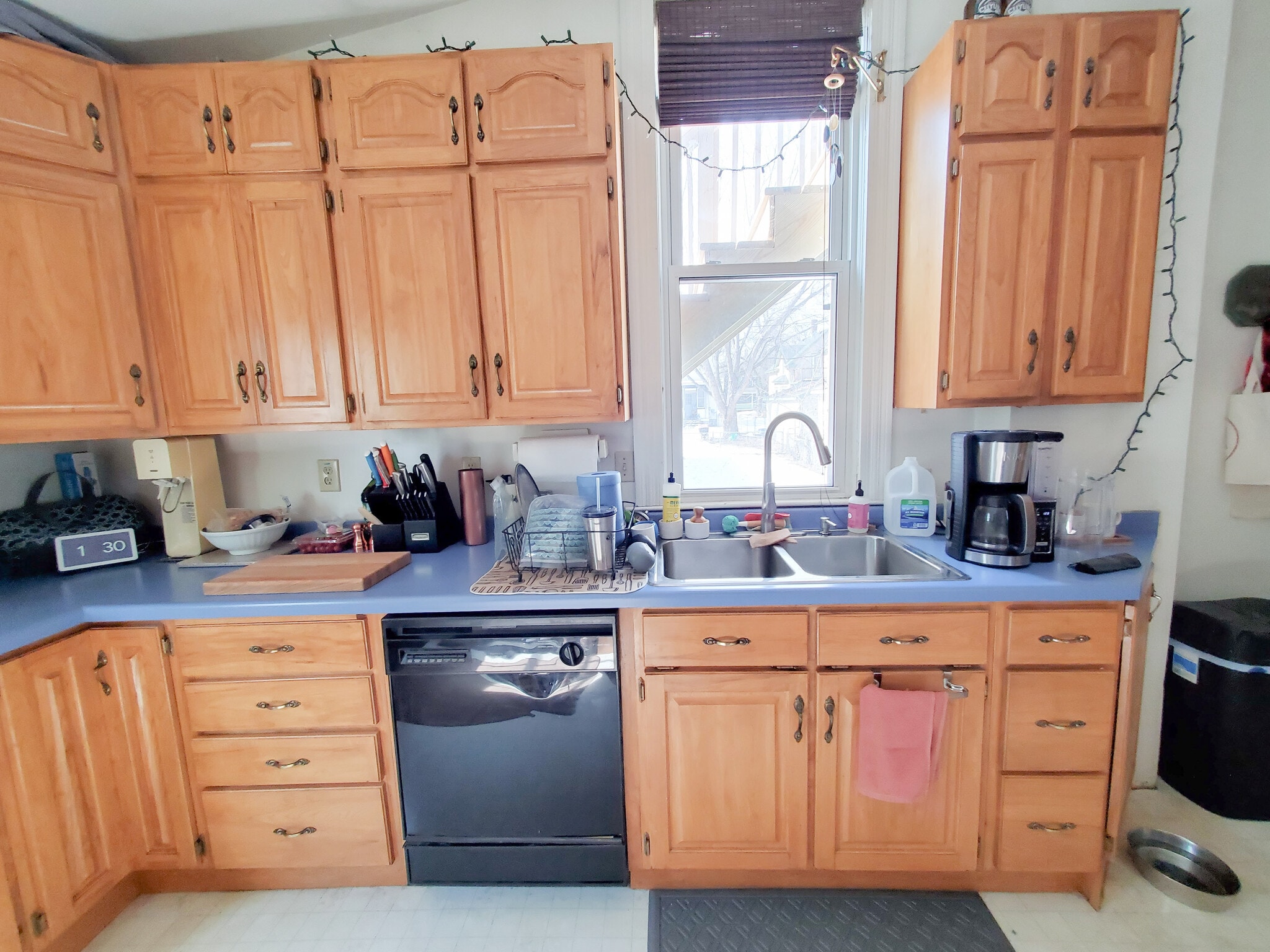 Kitchen - 373 Daly St