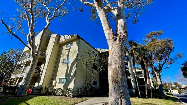 Primary Photo - 532 Ebbtide Cir