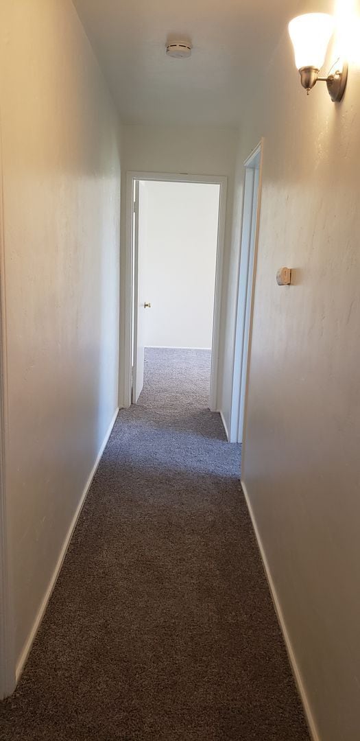 Building Photo - Cul de Sac living on large lot in El Cerrito Heights