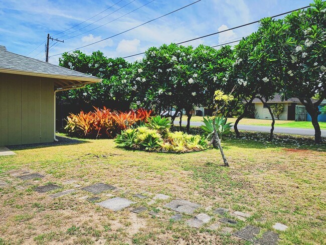 Building Photo - Schamber / Cuseo