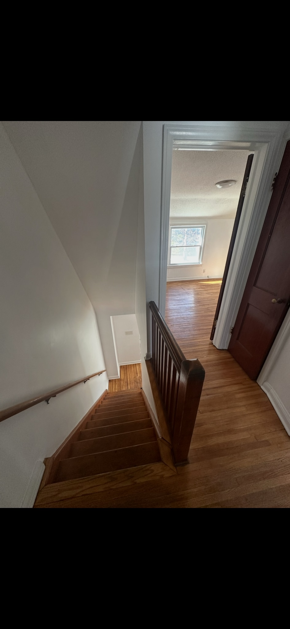 Building Photo - 247 Hancock Ave