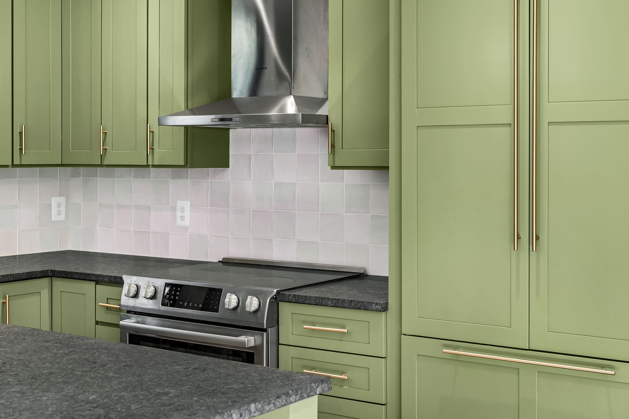 Bosch appliances blend with the cabinets - 4629 Keswick Rd