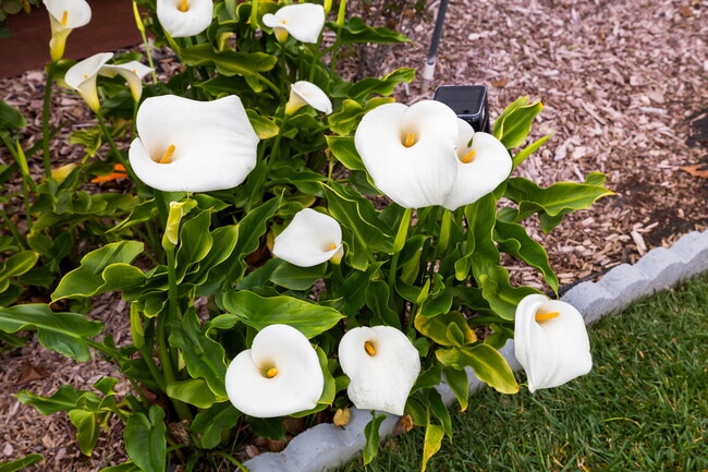 Building Photo - 875 Brittany Ln