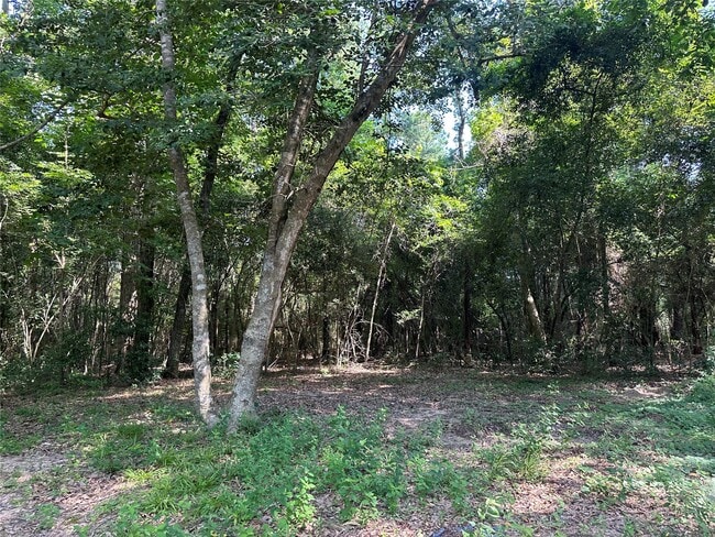 Building Photo - 146 Barbara Ln