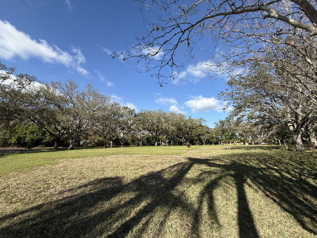 Building Photo - Spacious 2-Bed, 2-Bath Condo in Palm Harbor!