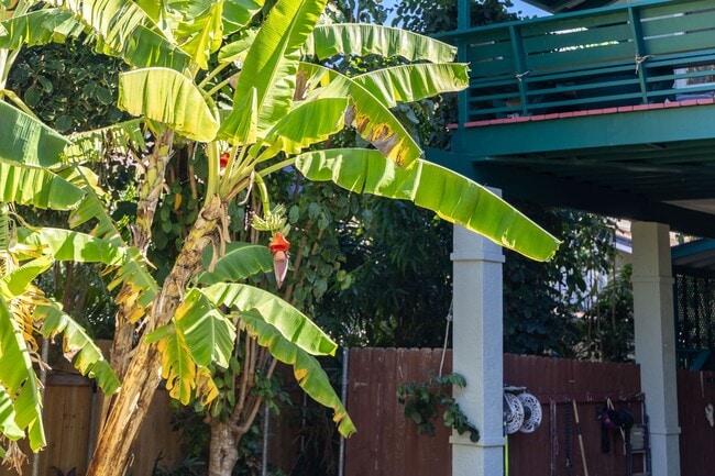 Building Photo - 59-018 Holawa St