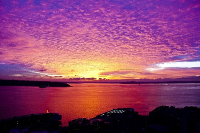 Building Photo - Stunning Belltown Penthouse w/ Ocean Views