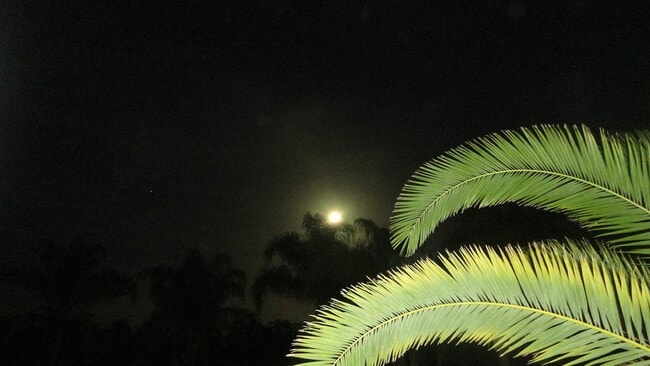 Building Photo - 5855 22nd St