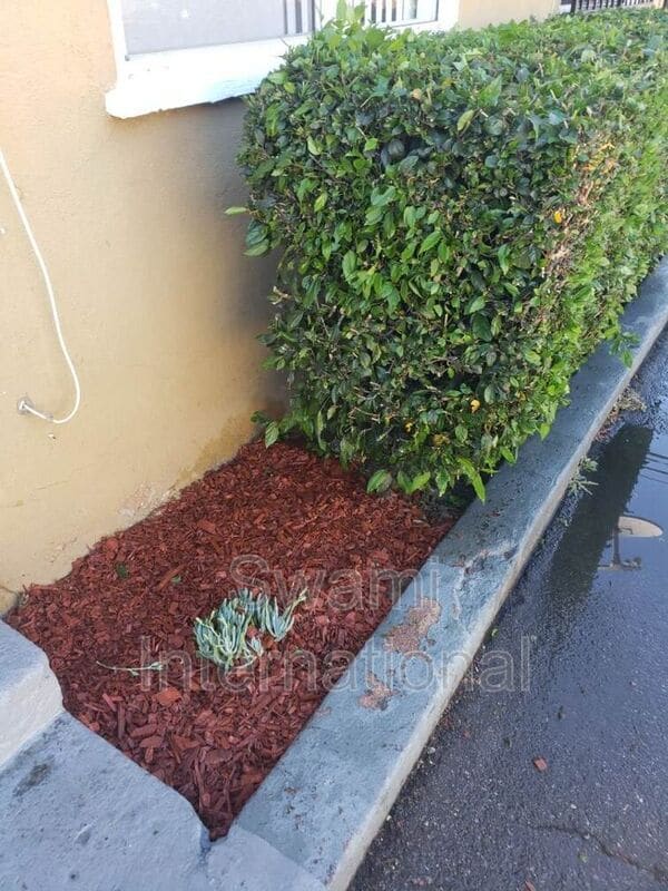 Building Photo - 4542 W Imperial Hwy