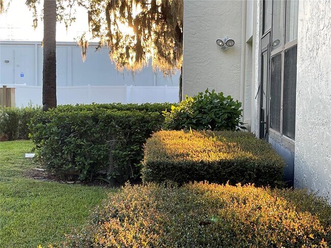 Building Photo - 103 Palmetto Ct