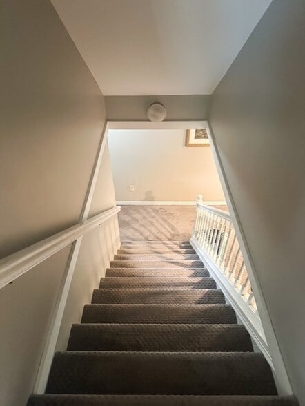 Stairs to Basement - 5 Horseshoe Ln