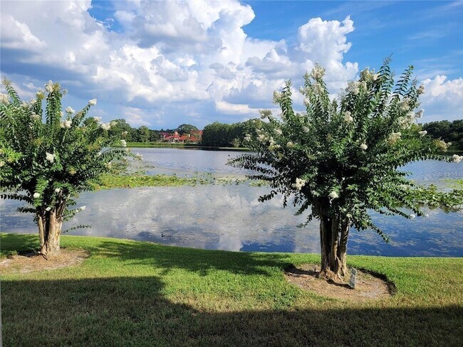 Building Photo - 155 N Pearl Lake Causeway