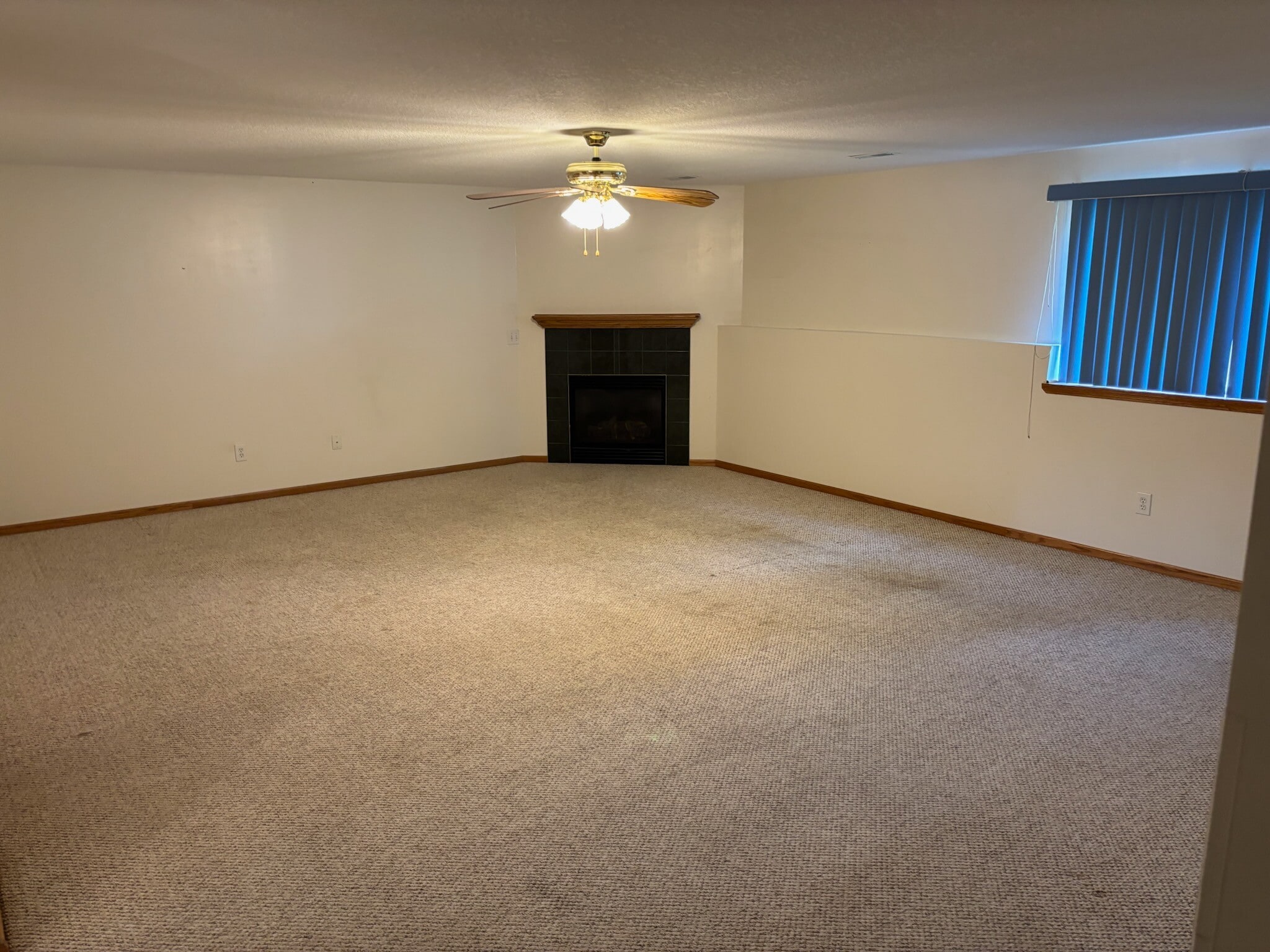 Basement - 495 S 51st St