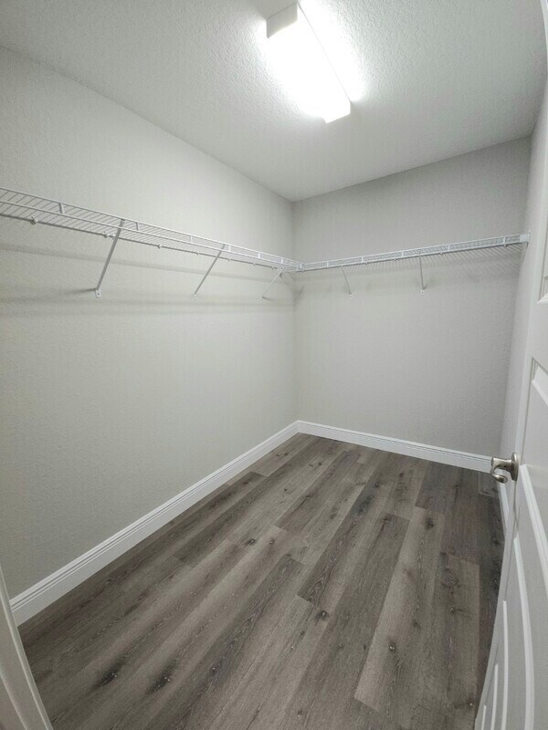 Building Photo - 262 Locust Pass