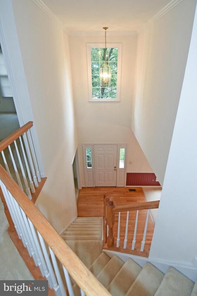 Building Photo - Elegant Brick Colonial on Quiet Cul-de-Sac...