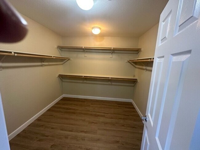 Building Photo - Beautiful 4 bedroom home In Paseos Summerlin - 2 Weeks free 1st month rent!!! Minutes from DT Sum...