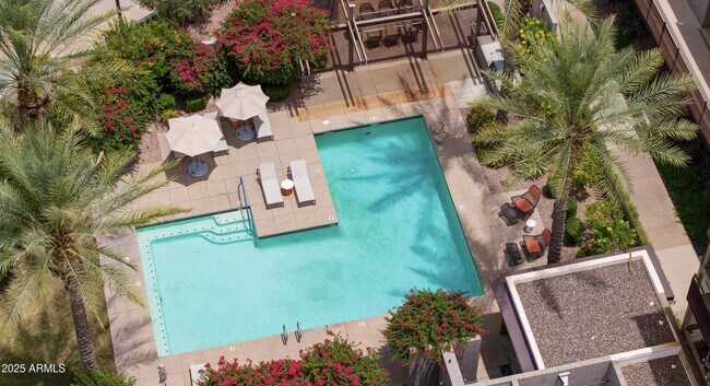 Building Photo - 4747 N Scottsdale Rd