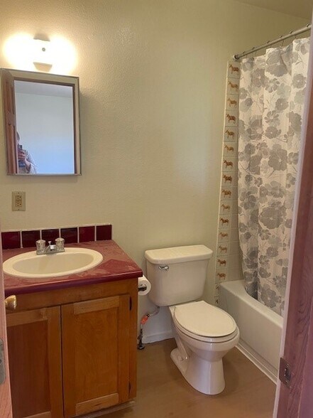 Bathroom - 1347 Pacheco Ct