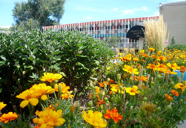 Building Photo - Country Club Gardens