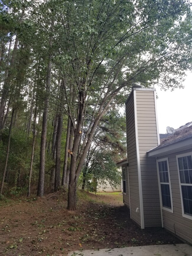 Building Photo - 2666 Rambling Way