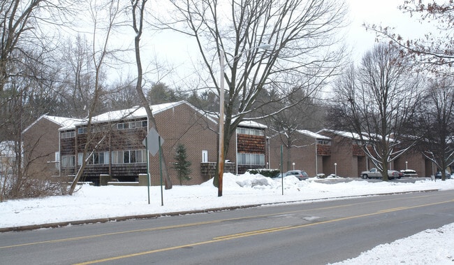 Primary Photo - Manorway