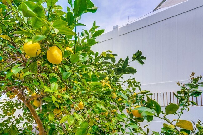 Building Photo - 12042 Sylvester St