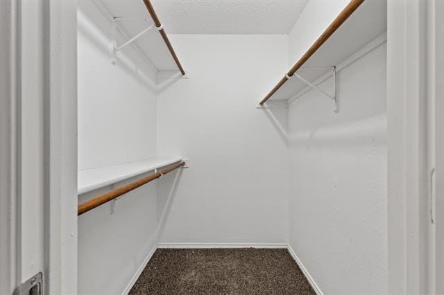 Building Photo - 6003 Flyers Ln