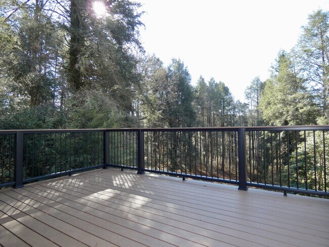 Building Photo - Spacious and Private Home in Biltmore Forest