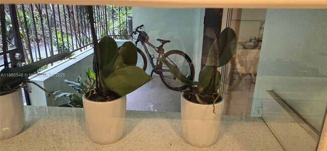 Building Photo - 2539 S Bayshore Dr