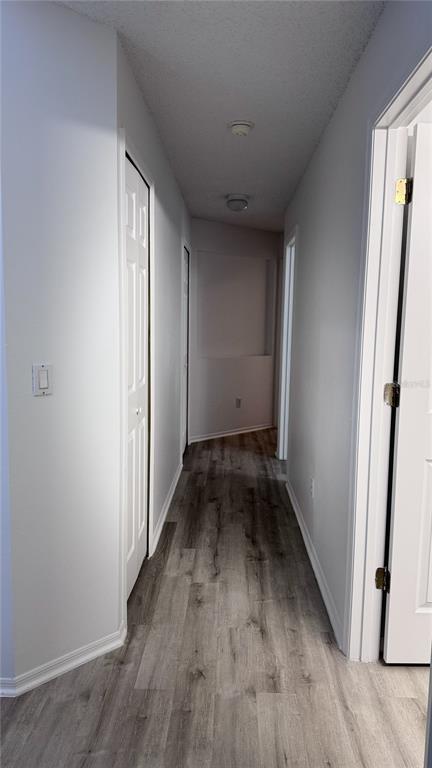 Building Photo - 1804 Palmetto Pine Ln