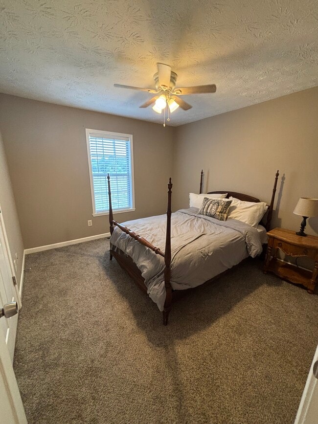 Building Photo - 608 Lakeview Dr