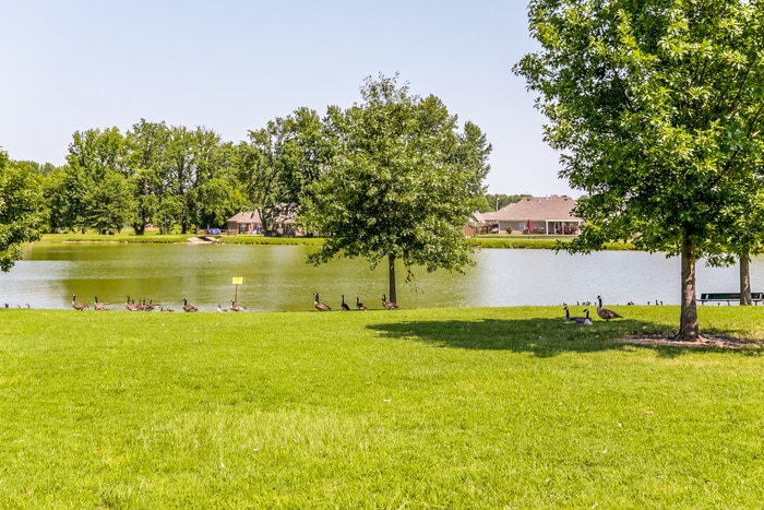 Building Photo - 4188 Ravenwood Dr N