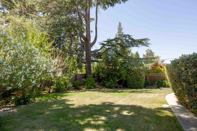 Building Photo - 795 San Mateo Dr