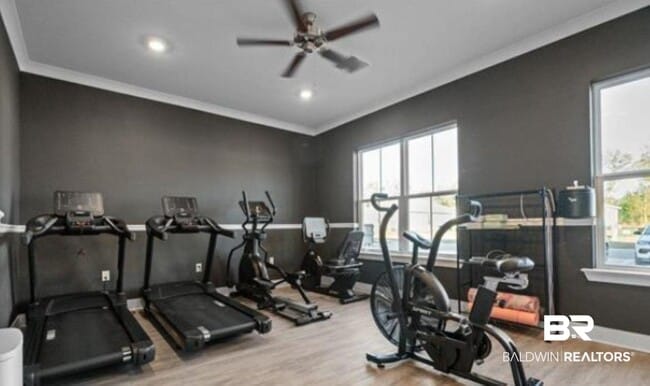 Building Photo - 3840 Casita Cir