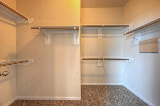 Building Photo - 2206 Spring Hollow Dr